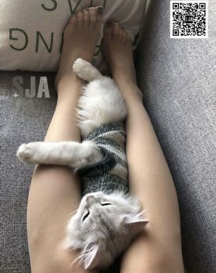 传说的魔女_BD韩语高清在线