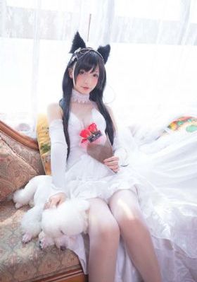 战雷神电视剧全集免费观看完整版_超清全集免费观看